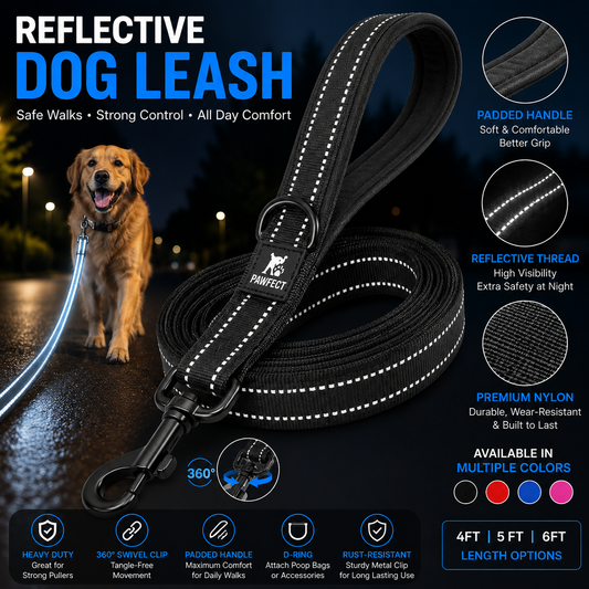 Reflective Dog Leash – Heavy Duty Walking Lead